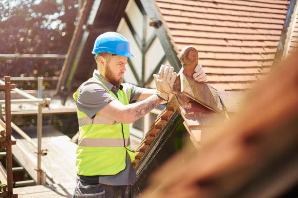 Roof Gutter Cleaning in Barling, AR